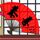 鞠婧祎演技